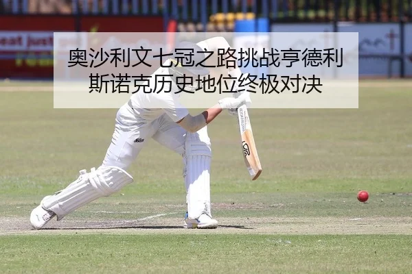 ao-sha-li-wen-qi-guan-zhi-lu-tiao-zhan-heng-de-li-si-nuo-ke-li-shi-di-wei-zhong-ji-dui-jue-2-442.jpg